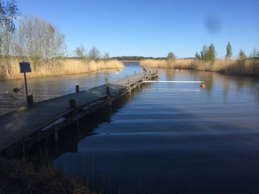 Vårbild vid bryggan