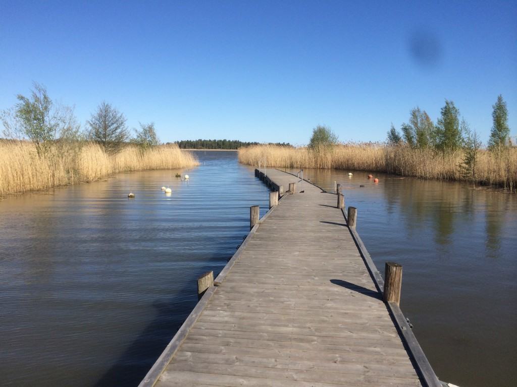 Vårbild vid bryggan